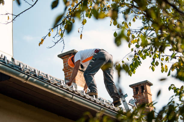 Best Best Roofing Contractors  in Paddock Lake, WI
